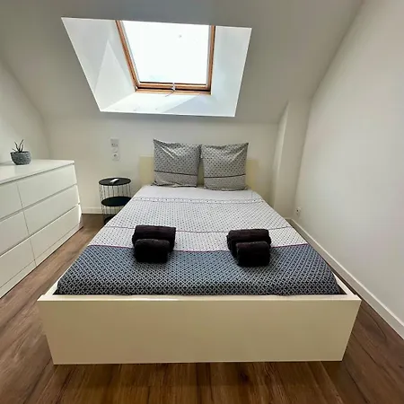 Des Hirondelles O Montjoie-Saint-Martin