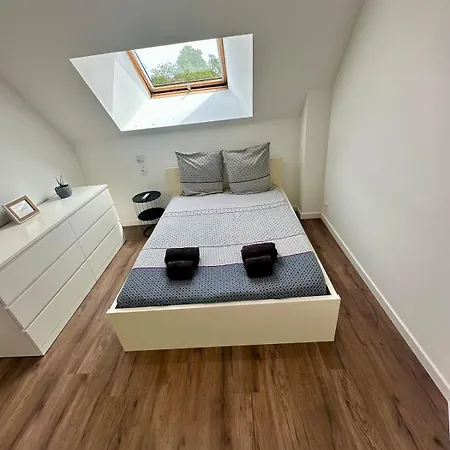 Des Hirondelles O Montjoie-Saint-Martin