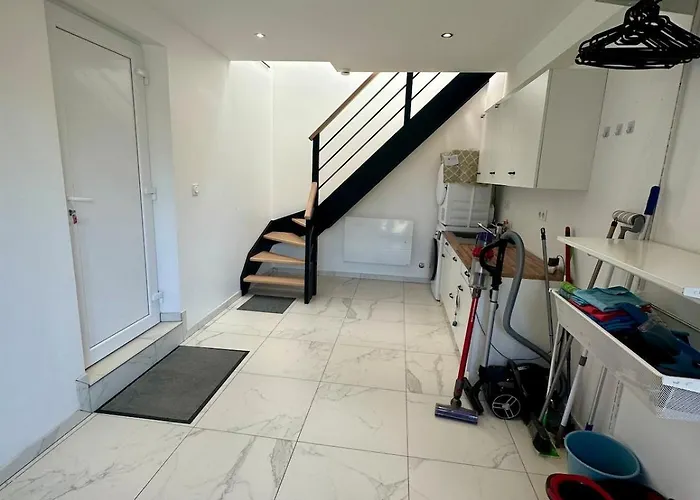 Des Hirondelles O Montjoie-Saint-Martin