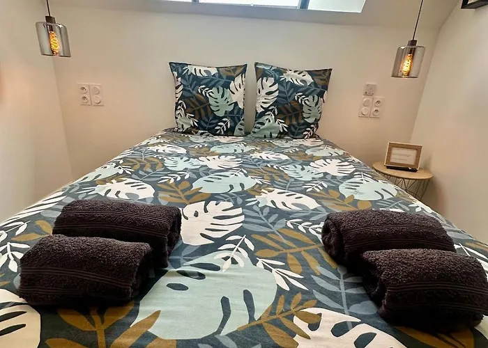 Des Hirondelles O Montjoie-Saint-Martin