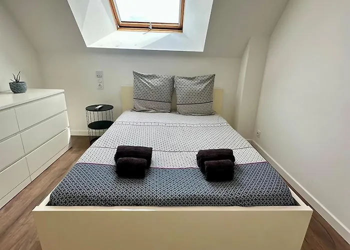 Des Hirondelles O Montjoie-Saint-Martin